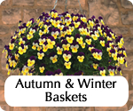 gardeningdirecthomepageautumnandwinterbaskets.jpg