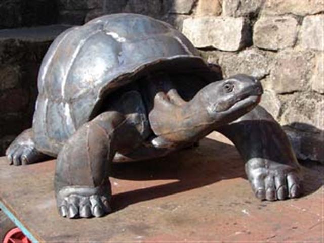 Owen Cunningham Giant_tortoise_thumbnail (Small)